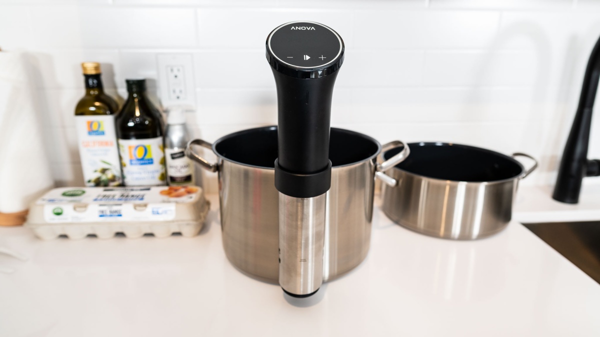 Anova Culinary Precision Cooker 3.0 Review (The Anova Culinary Precision Cooker 3.0 is our Editor's Choice and favorite sous vide.)