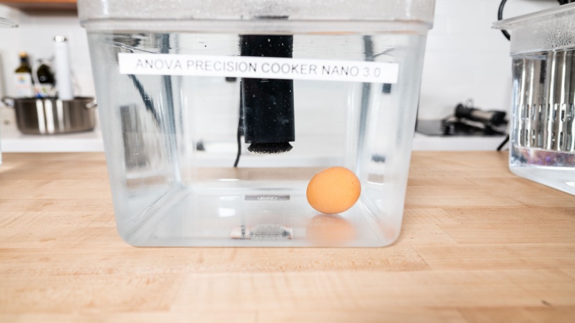 anova culinary precision cooker nano 3.0 - you can see how high the nano sits in this container. the clamp...