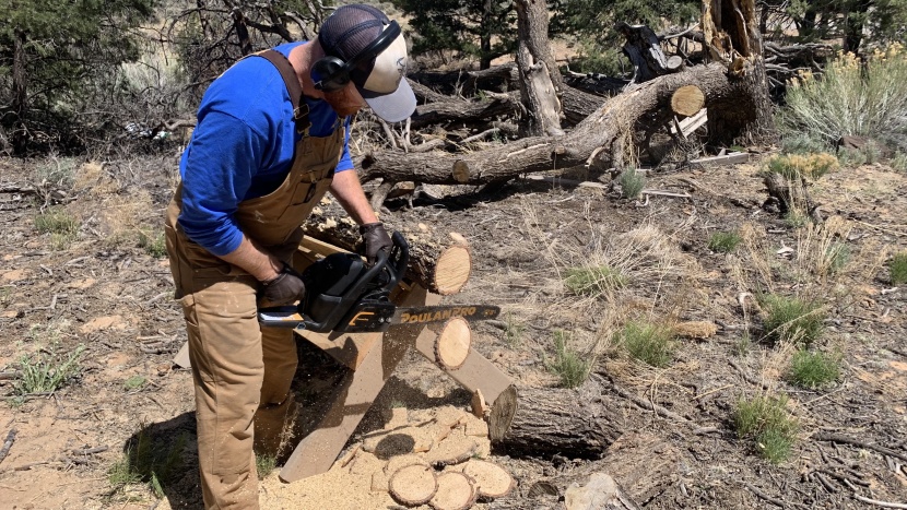 here we cut disks out of a log while testing chainsaws.