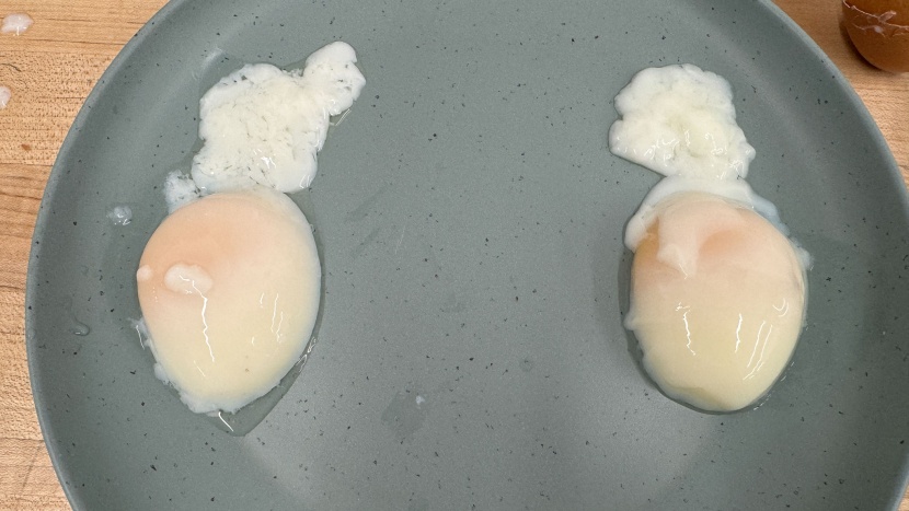 greater goods precision cooker - we inspected and evaluated the eggs after they were cooked.