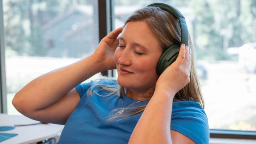 bose quietcomfort - &quot;finally, some bigger, punchier bass!&quot; proclaimed one of our testers.