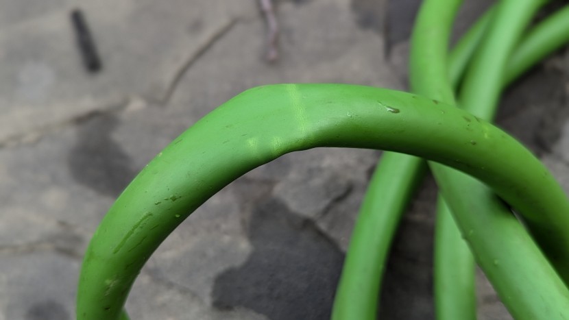 expert gardener light duty - the lighter markings on this hose were permanent, the scars from our...