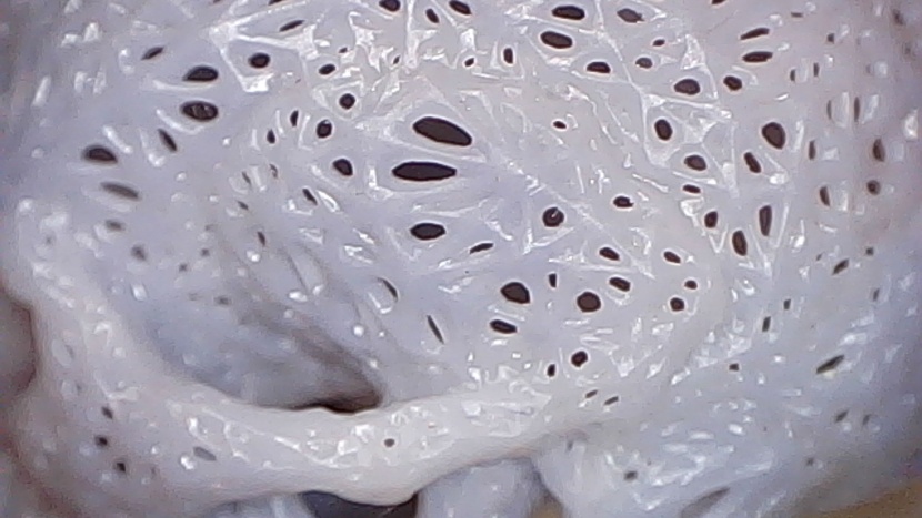 anycubic photon mono 2 - details and fine structures resolve particularly well with sla...