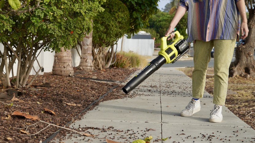 leaf blower - at only 5 lbs the ework is one of our favorite models for...