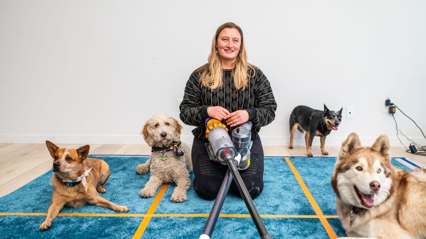 cordless stick vacuum - our pets were happy to lend some fur for our pet hair tests.