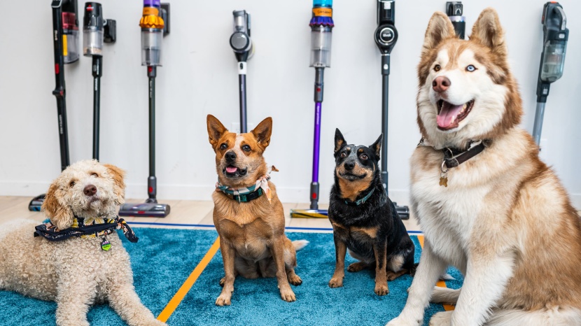 vacuum cleaner - we use an overflowing handful of real fur (some from our helpers...