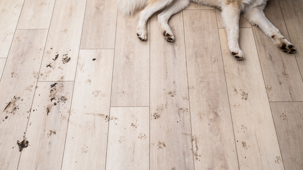 dyson v15s submarine - the dyson v15s submarine's included mop attachment head was handy...