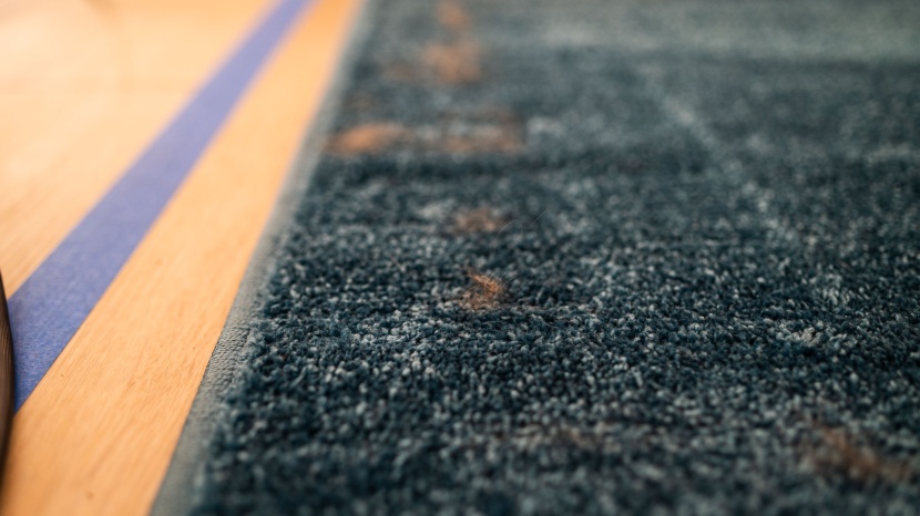 kenmore 600 series pet powermate - we had lots of hair left behind after vacuuming, specifically around...