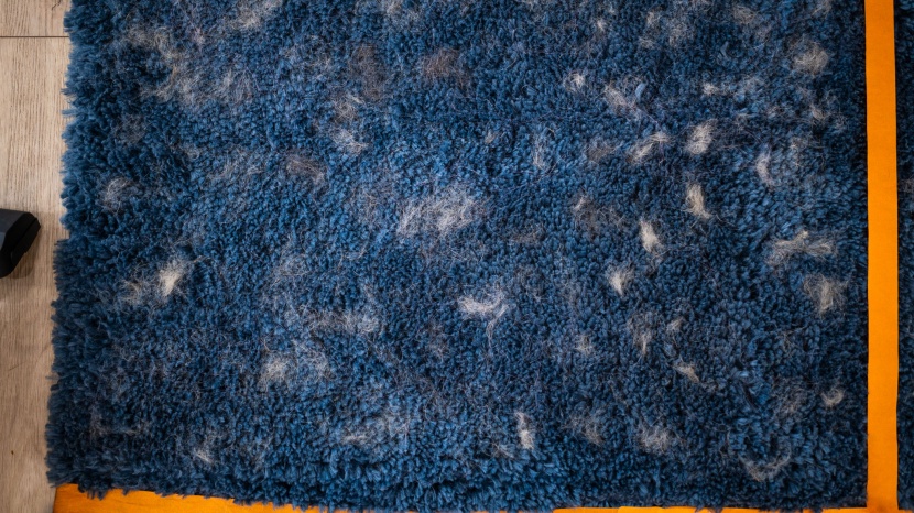 Before Testing photo comparison