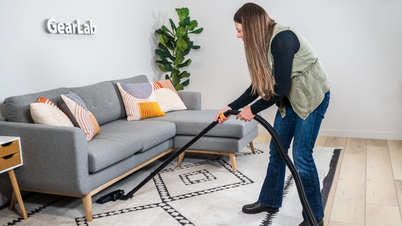 canister vacuum - the eureka mighty mite picks up most pet hair on low-pile carpets...