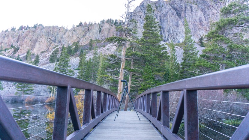 tripod - we greatly appreciated the confidence-inspiring stability of the...