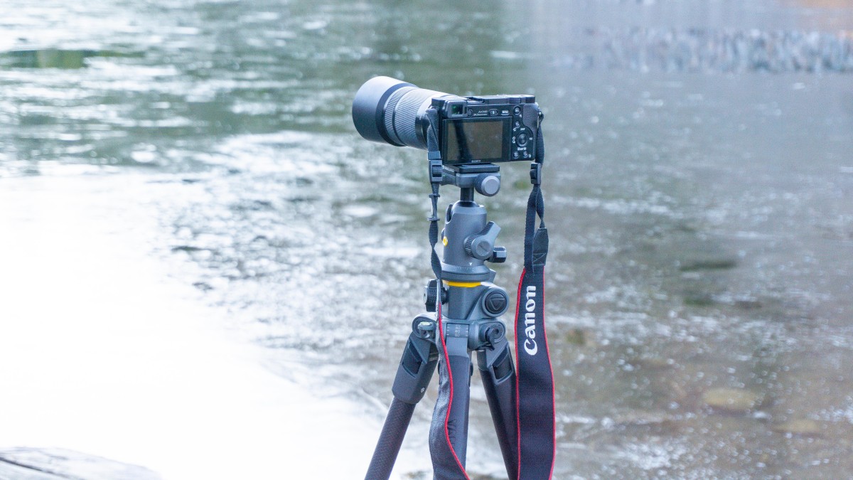 Vanguard Alta Pro 2+ 263CB 100 Carbon Fiber Review