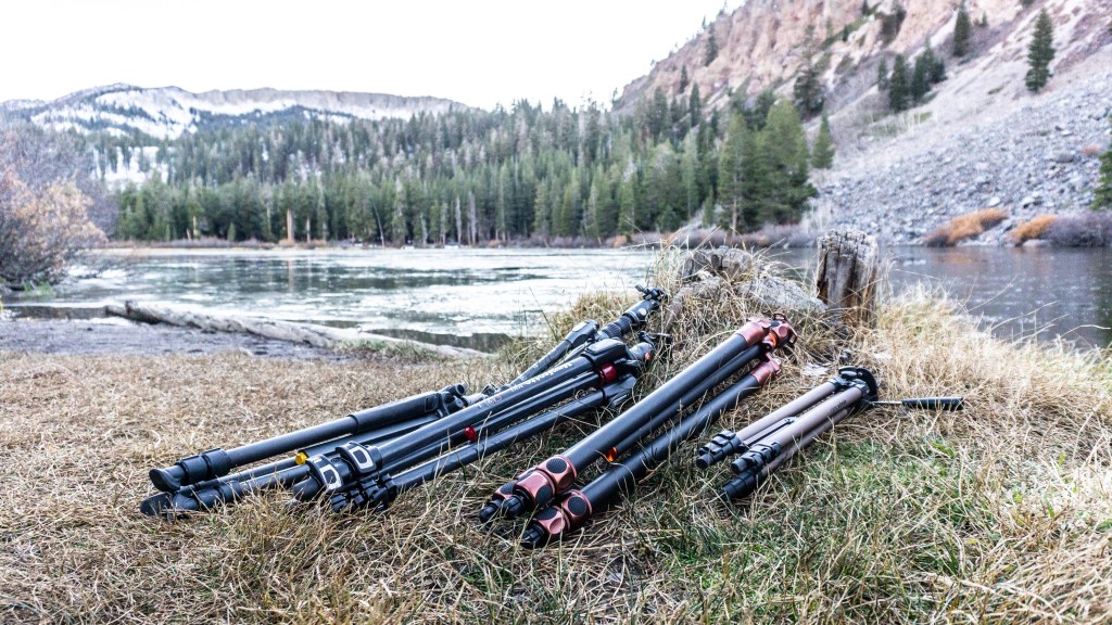 tripod - there are exceptional tripods that utilize carbon, yet there are...