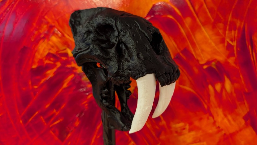 3d printer - a sabertooth tiger skull staff topper printed by lead reviewer kyle...