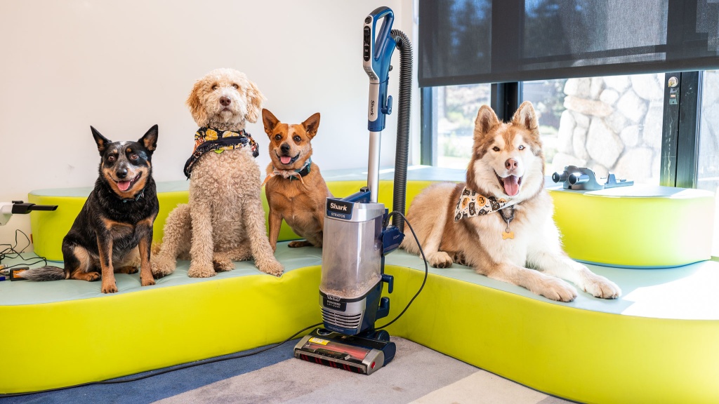 upright vacuum - our lab team includes lots of furry friends, who were more than...