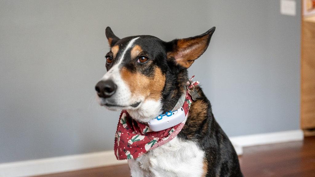 tractive gps - the tractive gps is easy to slip on a collar you&#039;re already using.