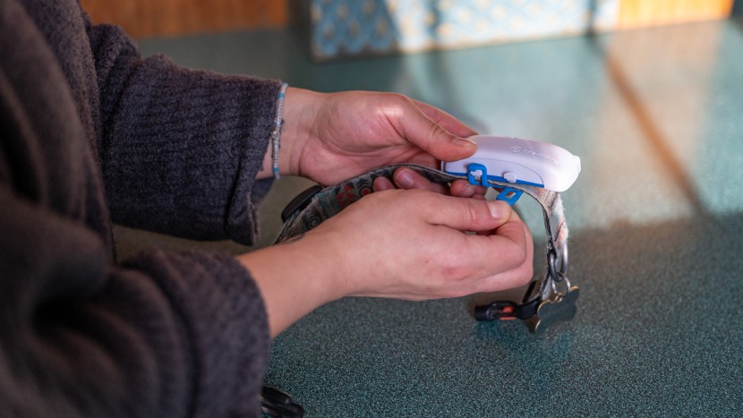 tractive gps - the tractive gps is easy to install onto whatever collar you&#039;re...