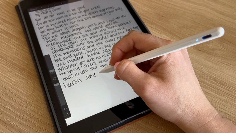 stylus pen - while occasionally there was a lag, the overall experience of...