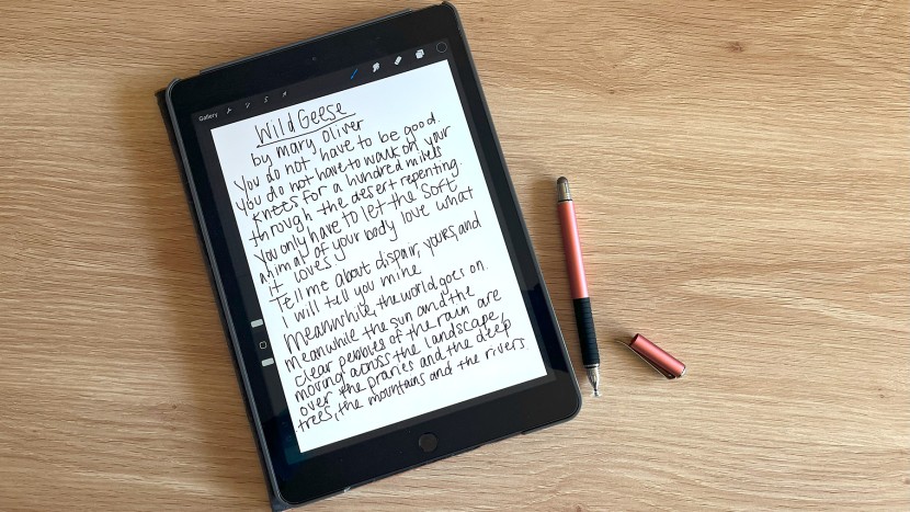 stylus pen - its lack of palm rejection makes the mixoo a tricky choice if your...