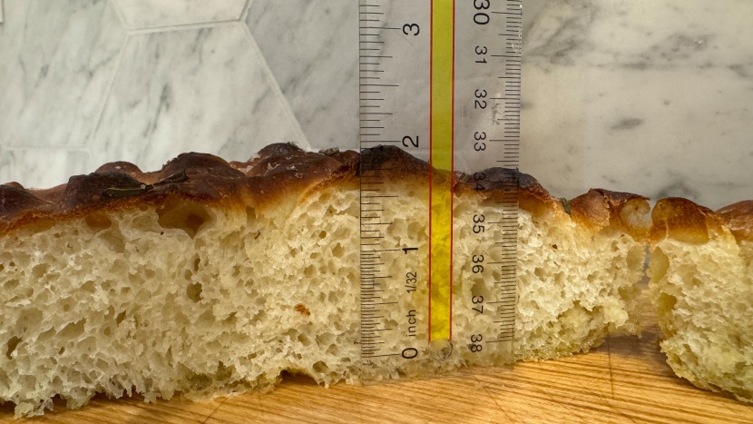 aucma 6.5qt - this machine did beautifully at making a fluffy focaccia.