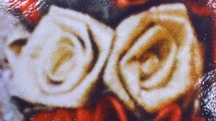 Canon Pixma TR4720 photo comparison