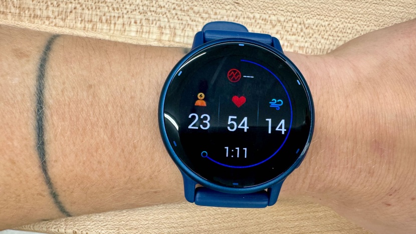 garmin vivoactive 5 - fitness data is presented in a simple and clear format via the...