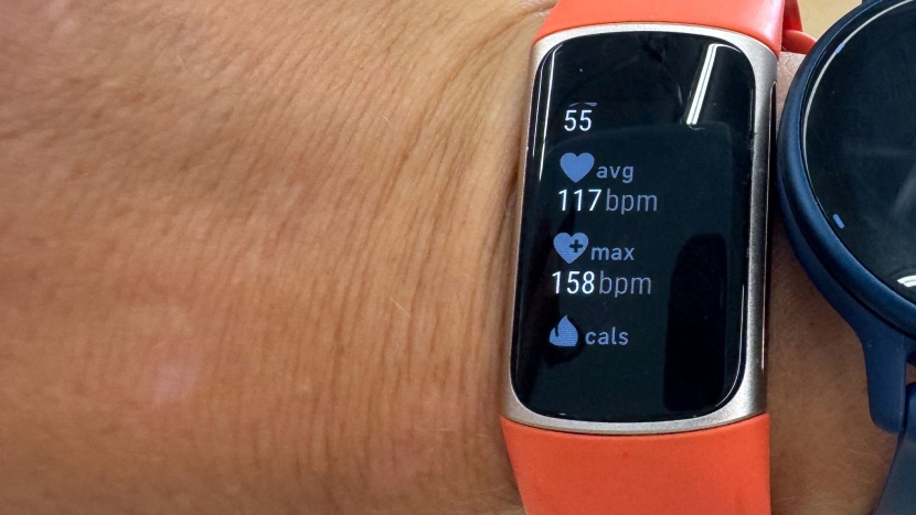 fitness tracker - the charge 6 tracks your heart rate average and max, but isn&#039;t great...