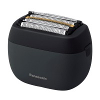 panasonic arc5 palm-sized