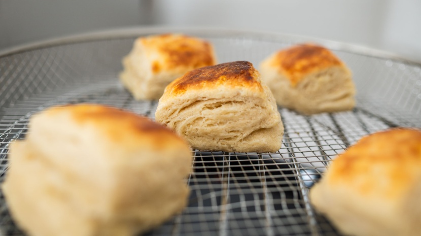 panasonic homechef 4-in-1 - the homechef baked delicious, golden brown biscuits.