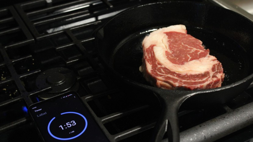 cast iron skillet - the lodge 10.25&quot; had one of the best sears in our timed sear test.