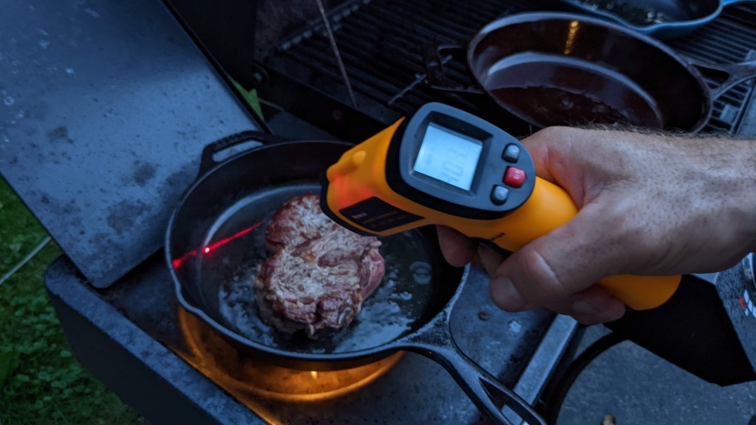 cast iron skillet - the sear test also doubles as a check of heat retention, as we shot...