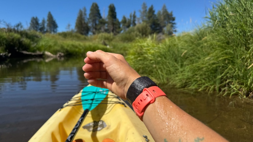 whoop 5.0 - the whoop is ready for any water-based adventure that comes its way.