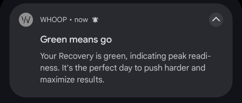 whoop 5.0 - one of our favorite features was the whoop peak readiness...