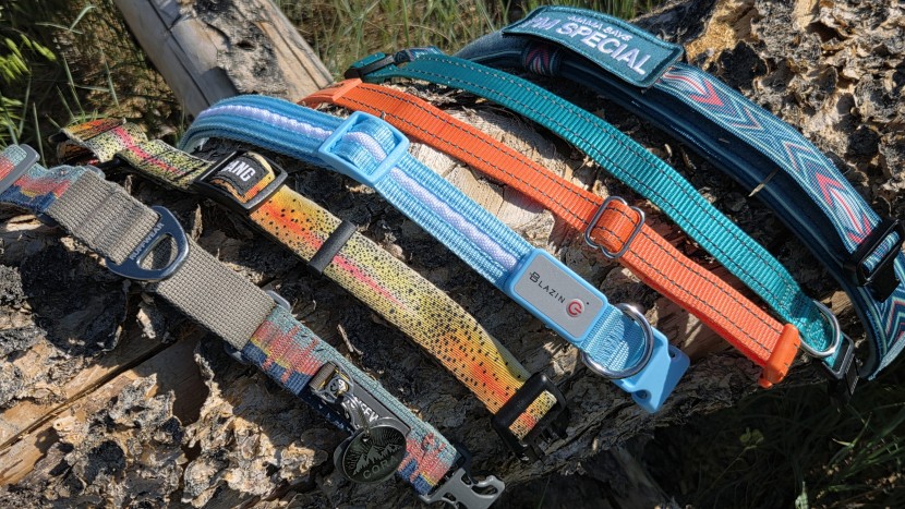 best dog collars