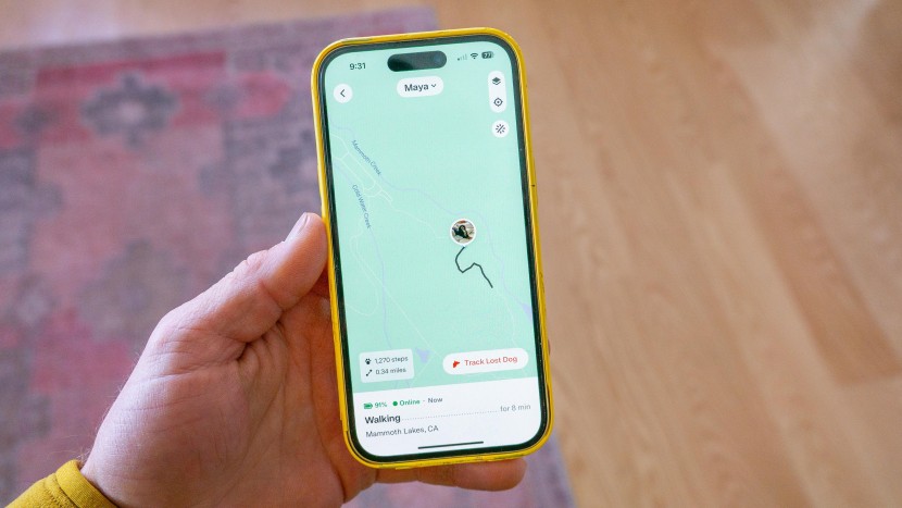 gps dog collar - we were able to closely follow along with the fi collar from home...