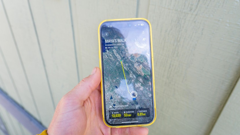 gps dog collar - some dog owners will love the strava-esc quality walk recording...