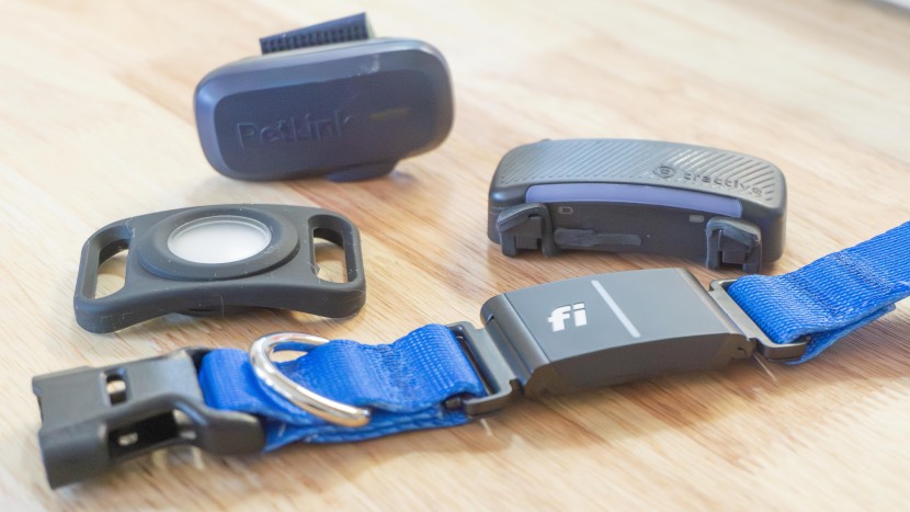 gps dog collar - with so many gps dog collars to choose from, having a little...