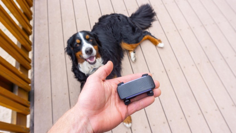 tractive gps - for most dogs, the slightly larger size of the tractive is unlikely...