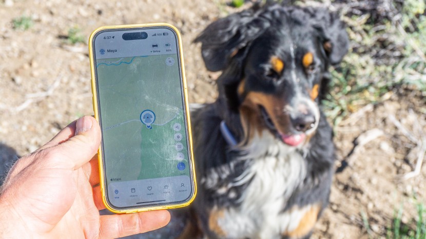 tractive gps - we appreciated the consistency of the tractive&#039;s gps, which was fast...