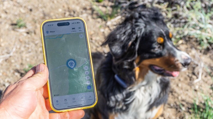 gps dog collar - we found the tractive to be quick to locate whether we were close or...