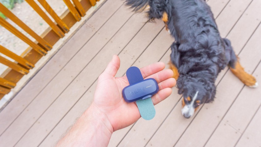 gps dog collar - we were big fans of the petlink&#039;s simplicity, with a highly...