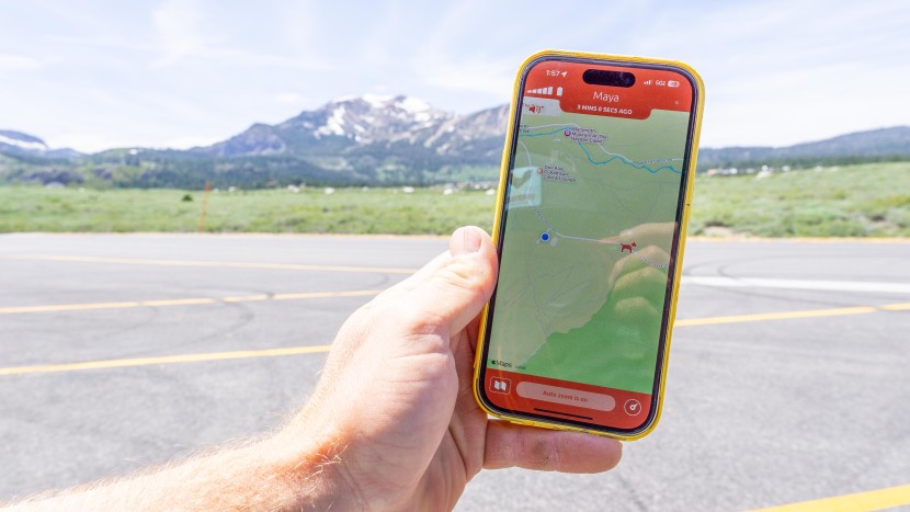 pit pat dog - besides the slow location times, this option has an easily navigated...