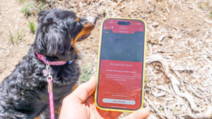 pit pat dog - when the pitpat only showed one bar of coverage, we often ran into...