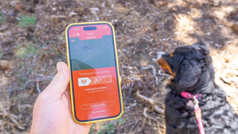 gps dog collar - we generally have found lte-connected devices to be reliable, but...