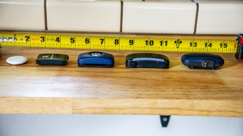 pit pat dog - the pitpat, in the center of the lineup, was smaller than some of...