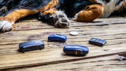 best gps dog collars