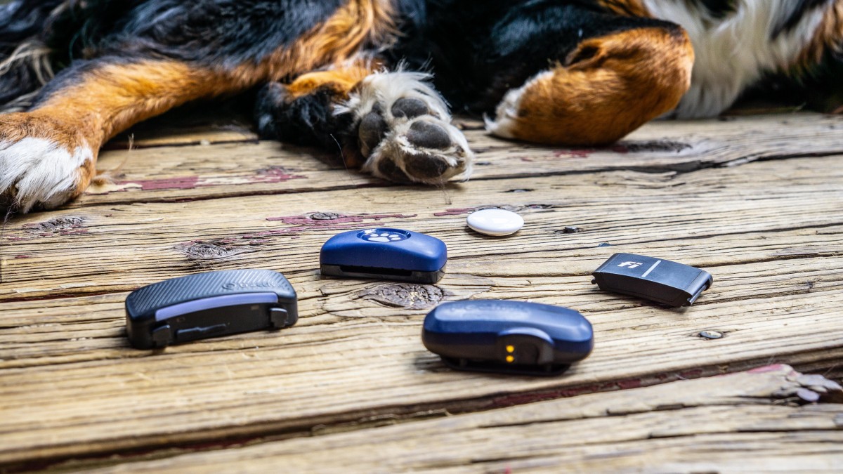 Best GPS Dog Collar Review