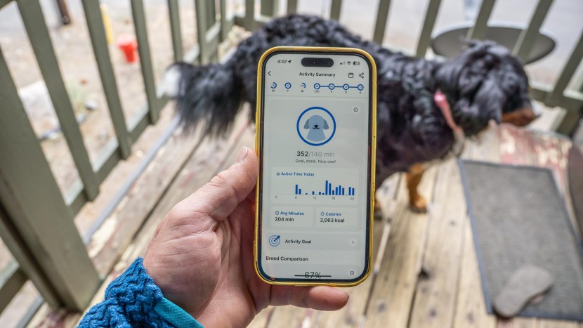 gps dog collar - most options offer some sort of activity tracking, but we&#039;ve even...