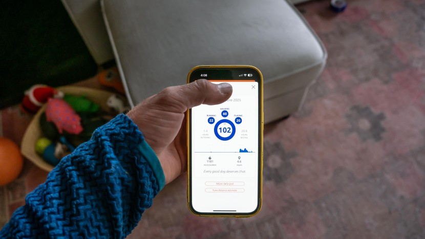 pit pat dog - we appreciated the health tracking of the pitpat, which made it easy...