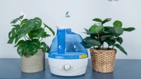 humidifier